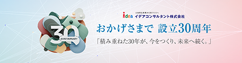 イデアコンサルタント株式会社 30周年特設サイト